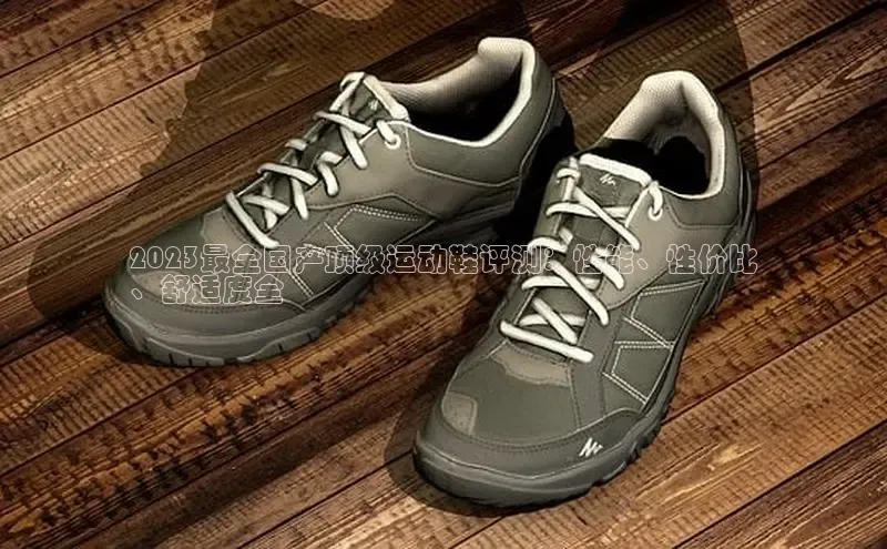 意昂三登录入口百度游戏2023最全国产顶级运动鞋评测：性能、性价比
、舒适度全