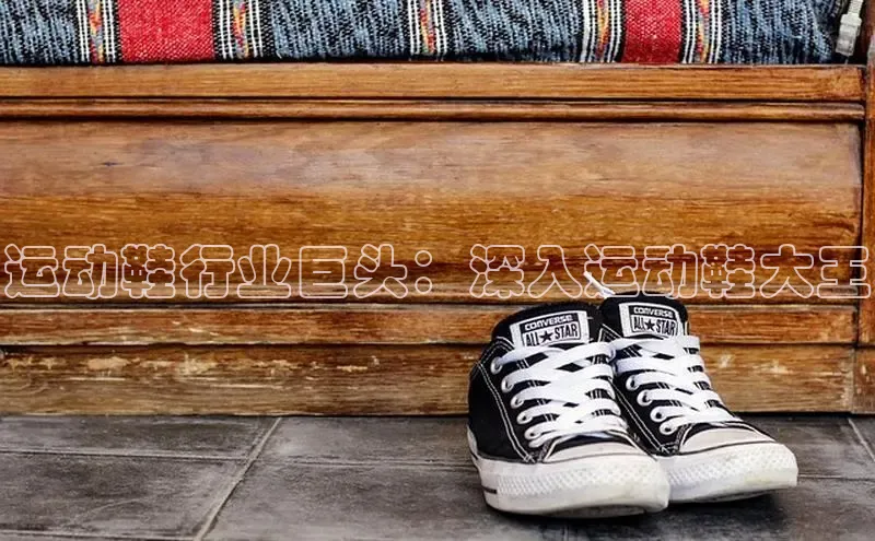 意昂3手游官网下载华扬联众运动鞋行业巨头：深入运动鞋大王