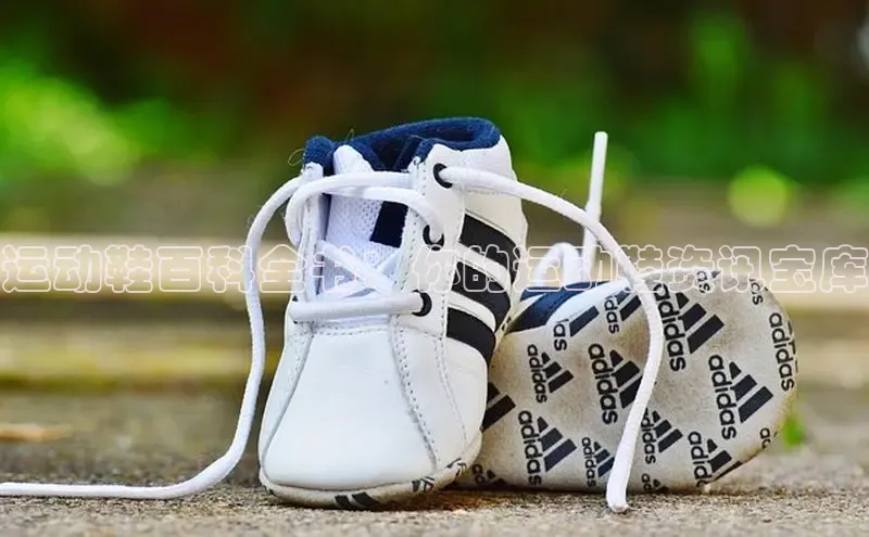 意昂3官网下载观星盘运动鞋百科全书：你的运动鞋资讯宝库