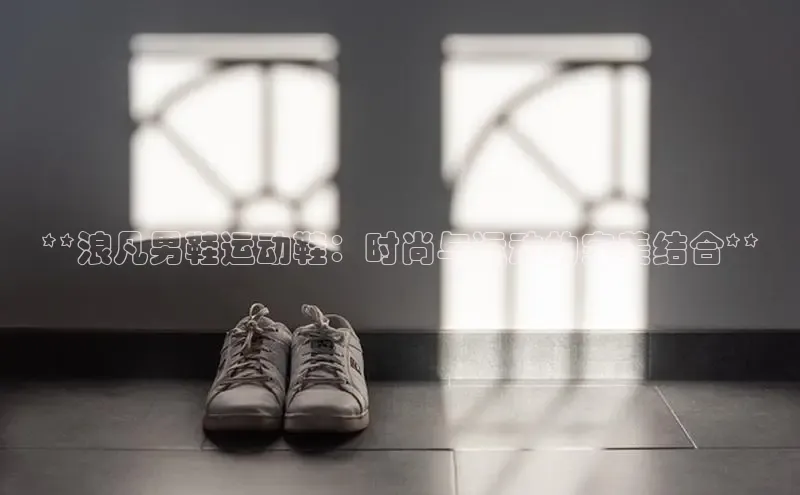 意昂3手游平台官网小度商城**浪凡男鞋运动鞋：时尚与运动的完美结合**