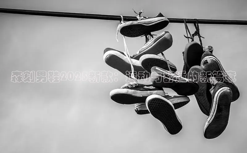 意昂3登陆入口百度翻译森刻男鞋2025新款：运动与舒适的新篇章