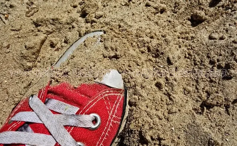 2025夏季新品：回力运动鞋——开启你的夏日运动新篇章