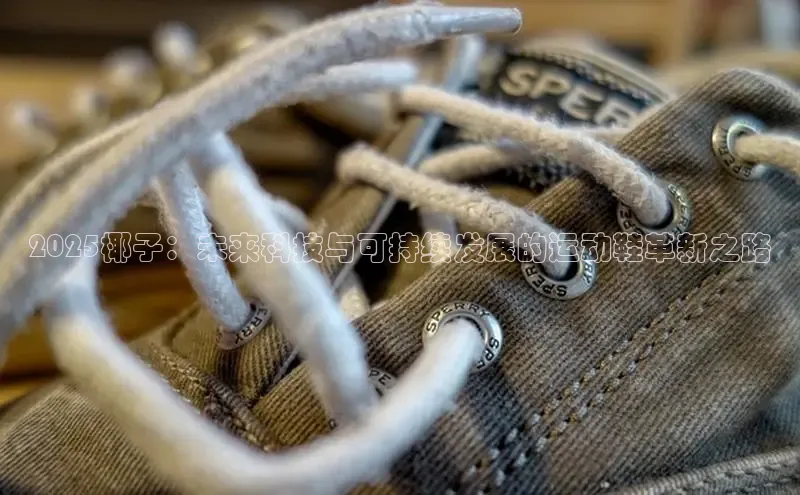 2025椰子：未来科技与可持续发展的运动鞋革新之路