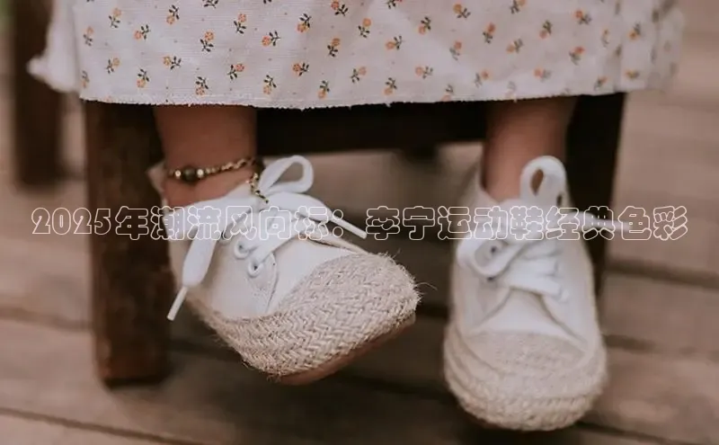 2025年潮流风向标：李宁运动鞋经典色彩
