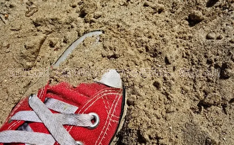 时尚焦点：全新2025年流行女款运动鞋，爆款上市！